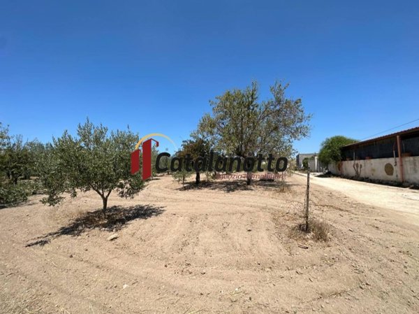 terreno agricolo in vendita a Castelvetrano