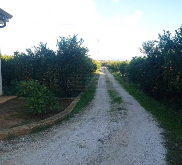 casa indipendente in vendita a Castelvetrano
