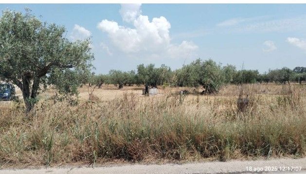 terreno agricolo in vendita a Castelvetrano