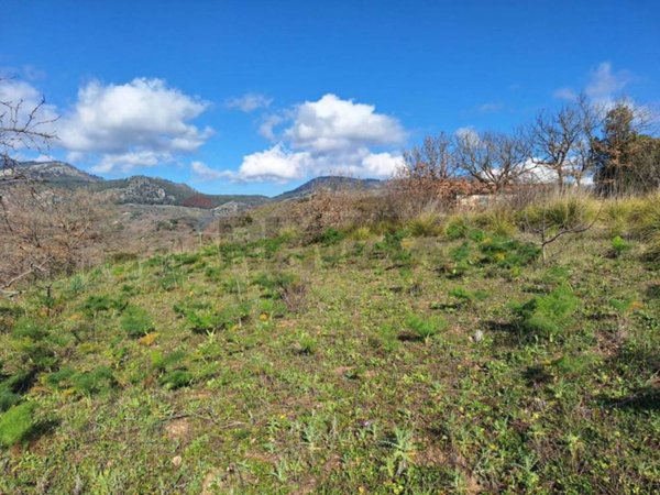 immagine annuncio 0 di 5