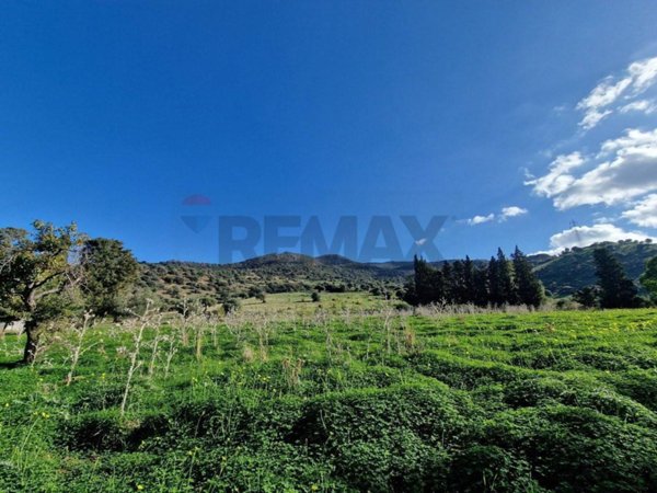 terreno agricolo in vendita a Castelvetrano