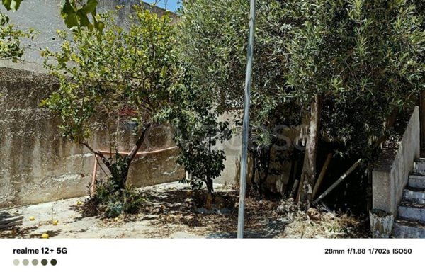 casa indipendente in vendita a Castelvetrano in zona Triscina di Selinunte