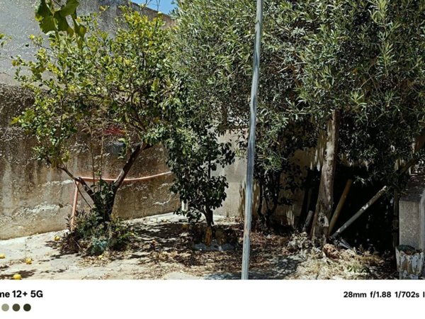 casa indipendente in vendita a Castelvetrano in zona Triscina di Selinunte