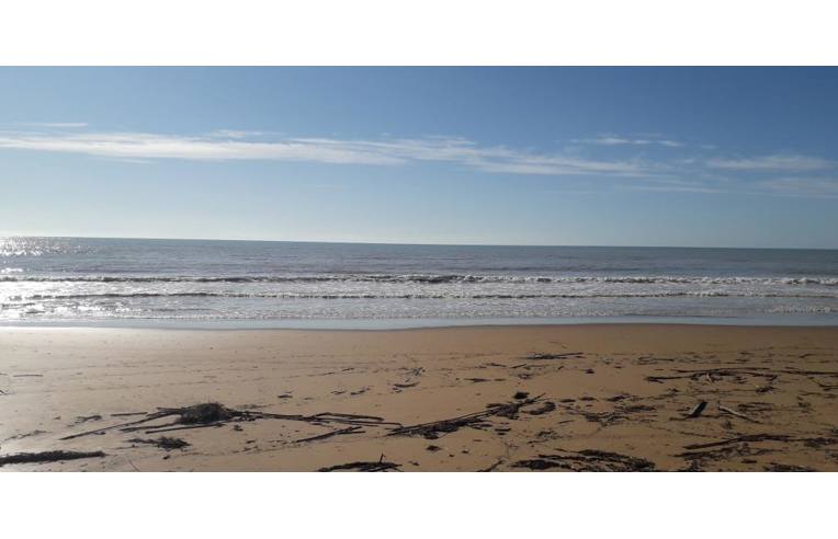 casa indipendente in vendita a Castelvetrano in zona Triscina di Selinunte