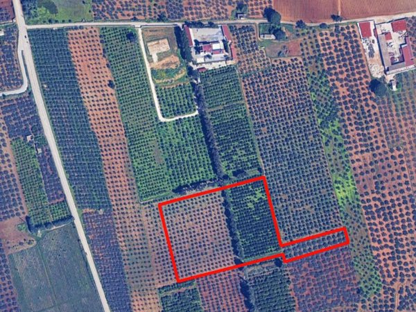 terreno agricolo in vendita a Castelvetrano