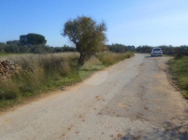 terreno agricolo in vendita a Castelvetrano