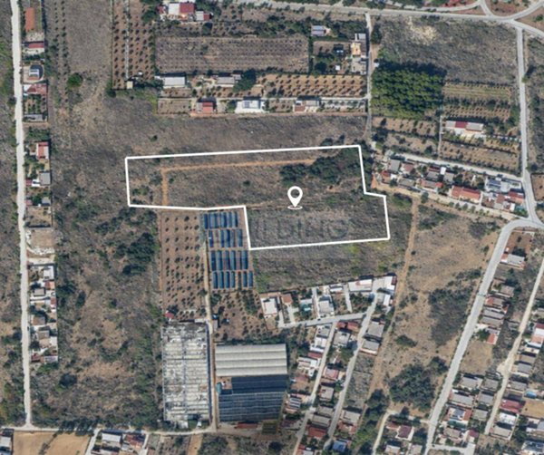 terreno edificabile in vendita a Castelvetrano in zona Triscina di Selinunte