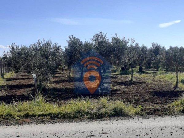 terreno agricolo in vendita a Castelvetrano