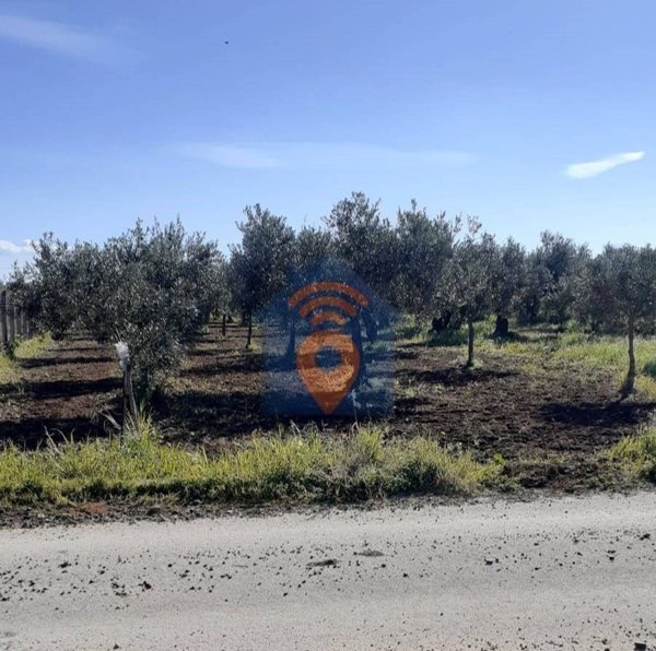 terreno agricolo in vendita a Castelvetrano