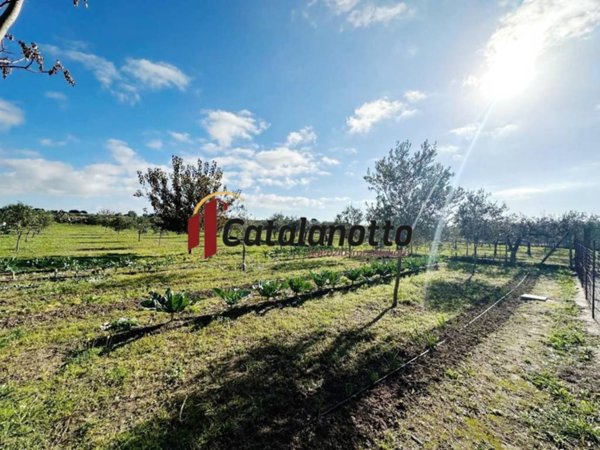 casa indipendente in vendita a Castelvetrano