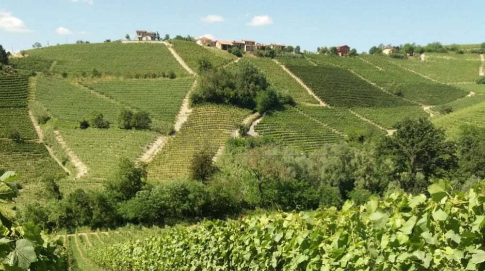 terreno in vendita a Castelvetrano