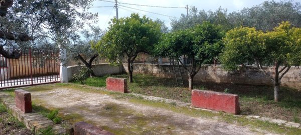 casa indipendente in vendita a Castelvetrano in zona Marinella di Selinunte