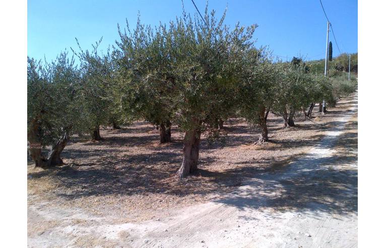 terreno agricolo in vendita a Castelvetrano
