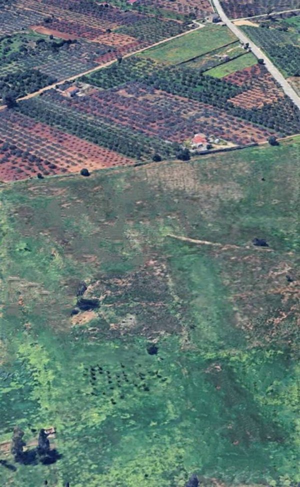 terreno agricolo in vendita a Castelvetrano