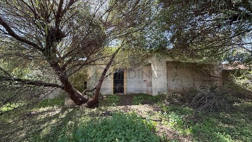 casa indipendente in vendita a Castelvetrano in zona Triscina di Selinunte
