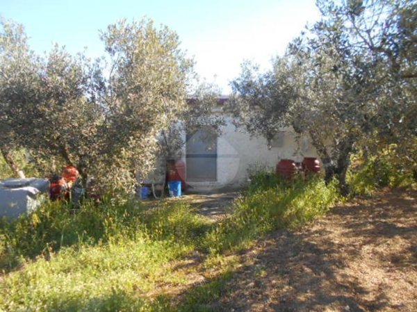 terreno agricolo in vendita a Castelvetrano