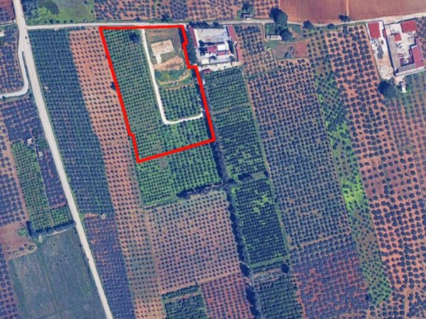 terreno edificabile in vendita a Castelvetrano