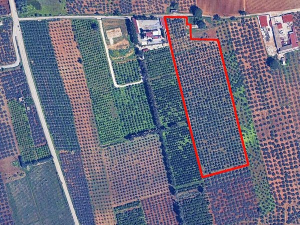 terreno edificabile in vendita a Castelvetrano