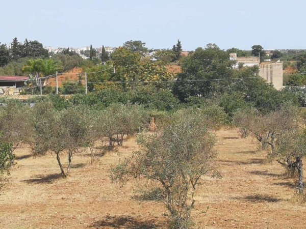terreno agricolo in vendita a Castelvetrano