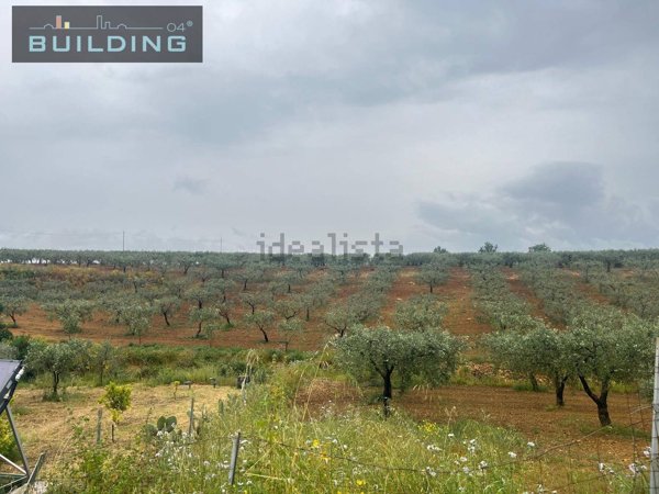 terreno edificabile in vendita a Castelvetrano