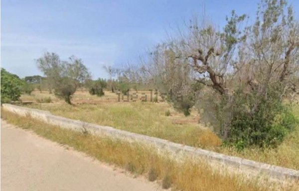 terreno edificabile in vendita a Castelvetrano in zona Marinella di Selinunte
