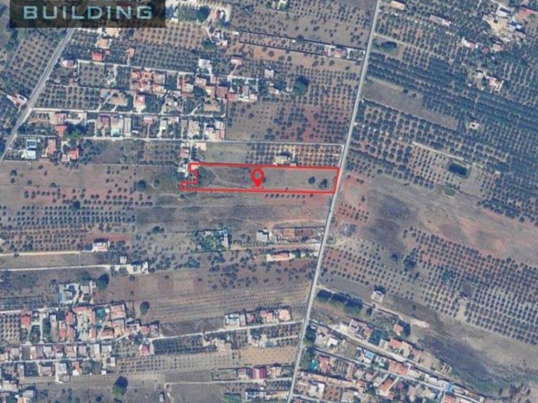 terreno agricolo in vendita a Castelvetrano in zona Marinella di Selinunte
