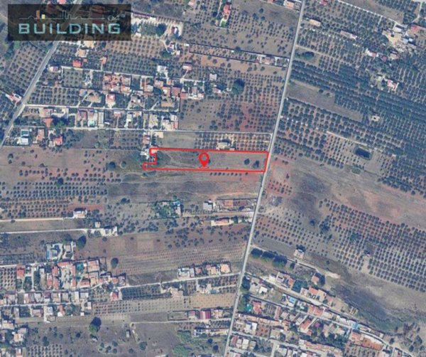 terreno edificabile in vendita a Castelvetrano in zona Marinella di Selinunte