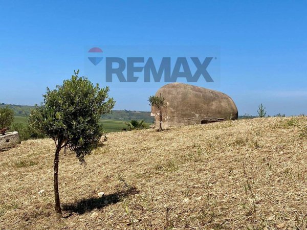 terreno agricolo in vendita a Castelvetrano in zona Marinella di Selinunte