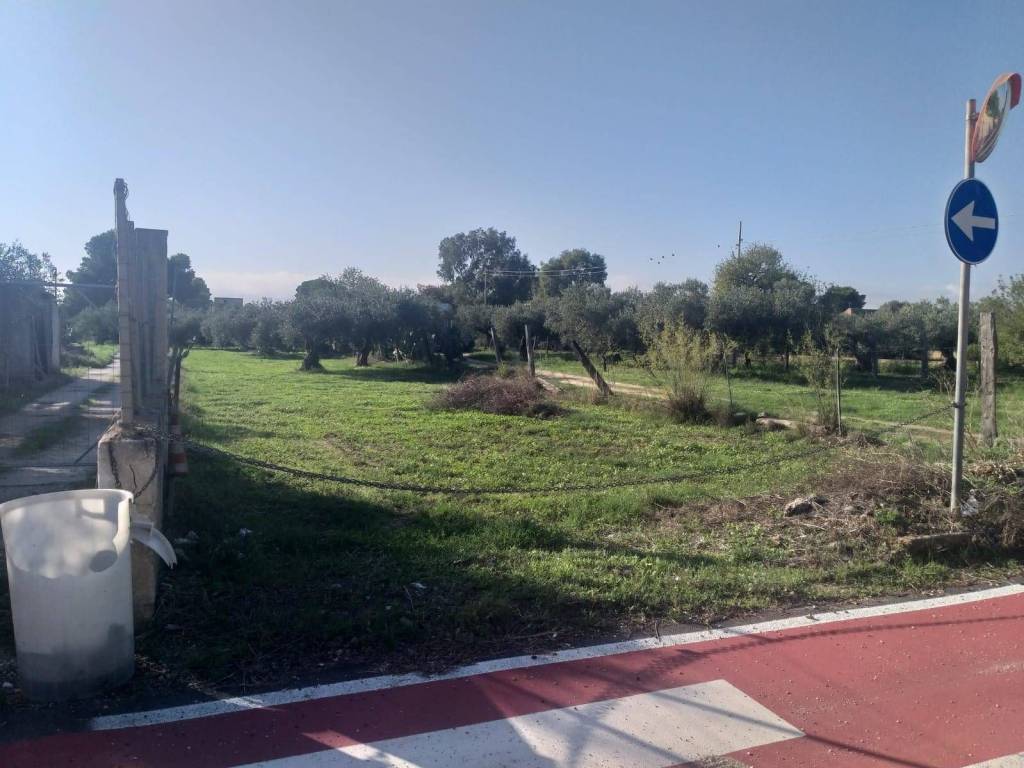 terreno agricolo in vendita a Castelvetrano in zona Marinella di Selinunte