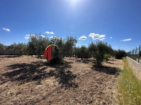 terreno agricolo in vendita a Castelvetrano in zona Marinella di Selinunte