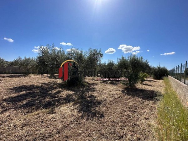 terreno agricolo in vendita a Castelvetrano in zona Marinella di Selinunte