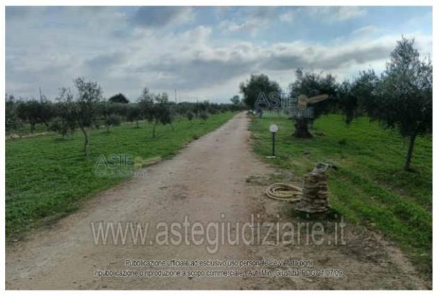terreno agricolo in vendita a Castelvetrano in zona Marinella di Selinunte