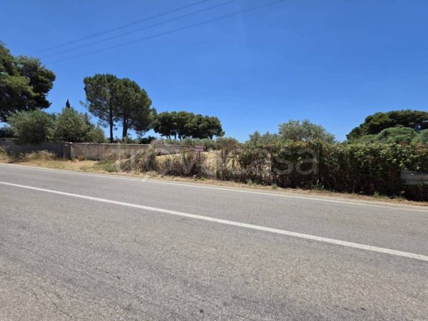 terreno agricolo in vendita a Castelvetrano