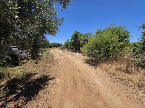 terreno edificabile in vendita a Castelvetrano in zona Marinella di Selinunte