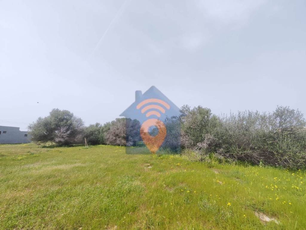 terreno edificabile in vendita a Castelvetrano in zona Marinella di Selinunte