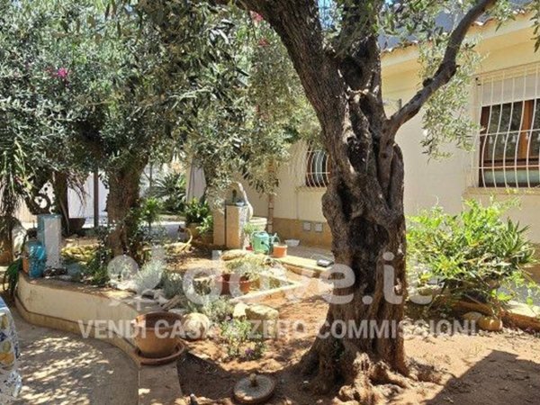 casa indipendente in vendita a Castelvetrano in zona Triscina di Selinunte
