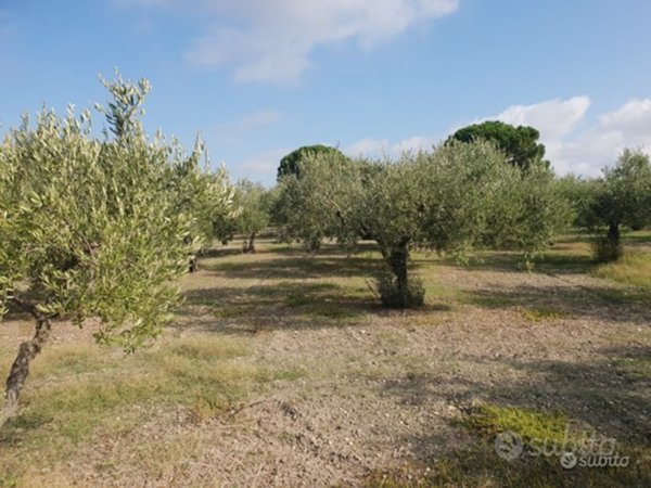 casa indipendente in vendita a Castelvetrano in zona Marinella di Selinunte