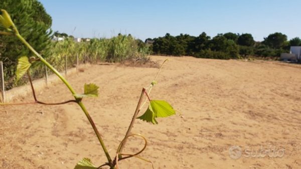 casa indipendente in vendita a Castelvetrano in zona Triscina di Selinunte