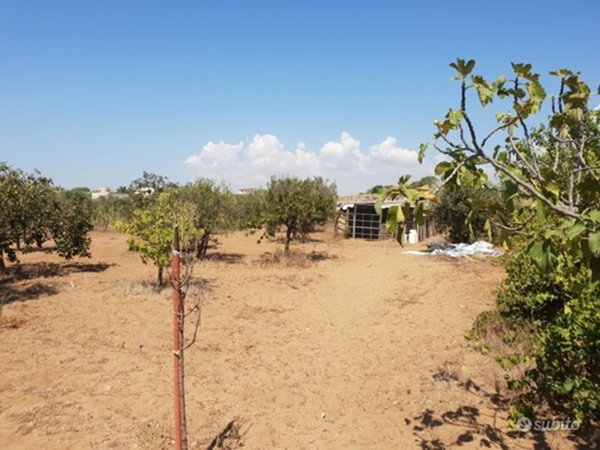 terreno agricolo in vendita a Castelvetrano in zona Marinella di Selinunte