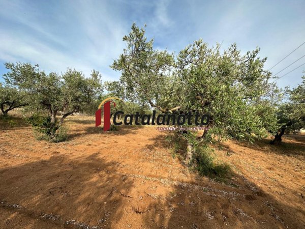 terreno edificabile in vendita a Castelvetrano in zona Triscina di Selinunte