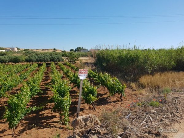 terreno in vendita a Castelvetrano in zona Marinella di Selinunte