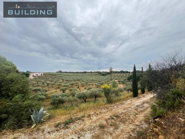 casa indipendente in vendita a Castelvetrano