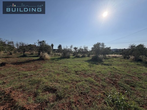 terreno in vendita a Castelvetrano