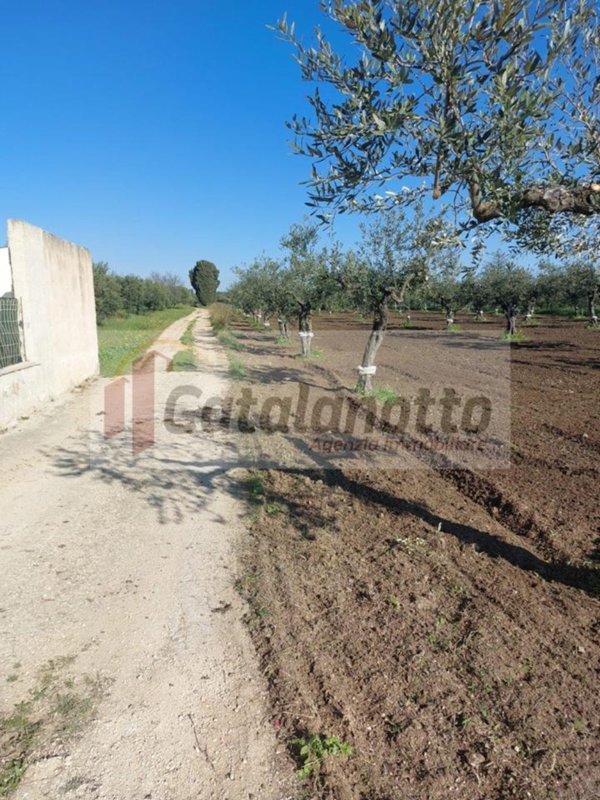 terreno in vendita a Castelvetrano