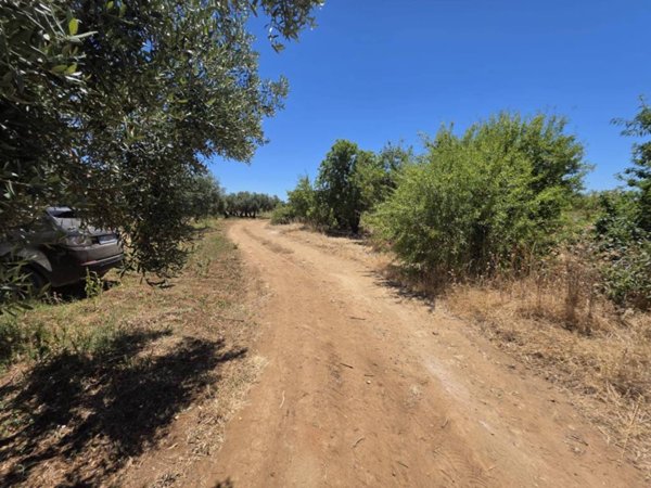 terreno in vendita a Castelvetrano in zona Marinella di Selinunte