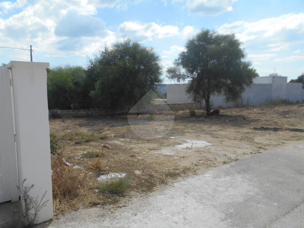 terreno in vendita a Castelvetrano