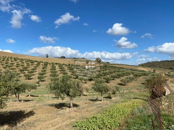 casa indipendente in vendita a Castelvetrano
