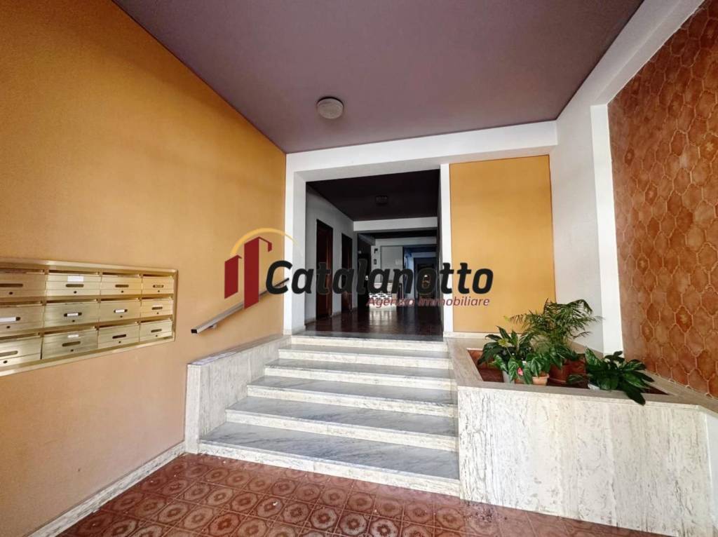 immagine annuncio 0 di 15
