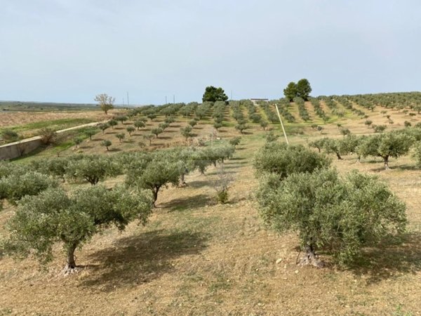 casa indipendente in vendita a Castelvetrano