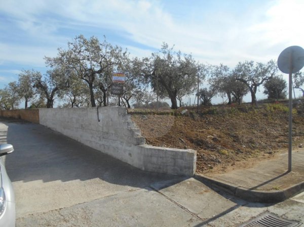 terreno in vendita a Castelvetrano in zona Triscina di Selinunte